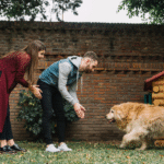 Where Do Dogs Like To Be Pet Unlocking The Secret Spots