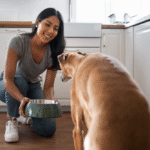 How Much to Pay a Dog Sitter? Complete Guide to Dog Sitting Rates in the USA