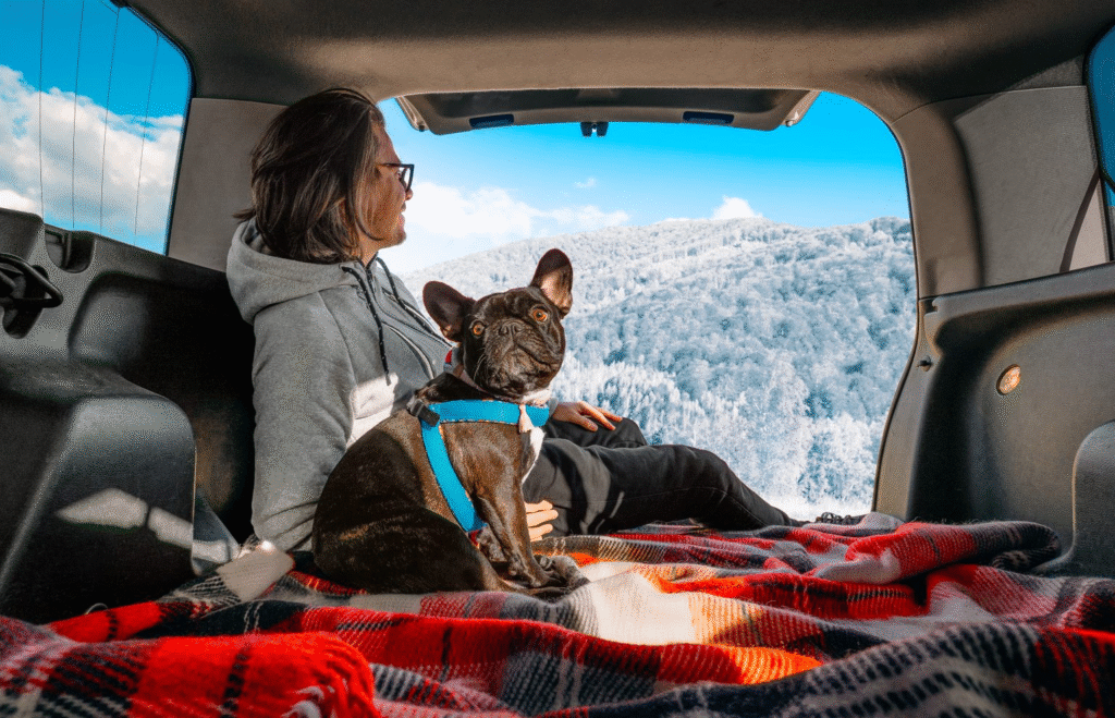 The Ultimate Handbook for Traveling with Your Dog (For U.S. Pet Parents)
