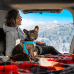 The Ultimate Handbook for Traveling with Your Dog (For U.S. Pet Parents)