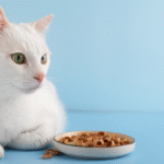 Why Do Cats Make Biscuits? More Than Just a Strange Routine!