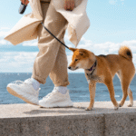 When They Die, Do Dogs Go To Heaven? Answering From A Spiritual Perspective