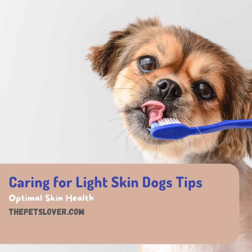 Caring for Light Skin Dogs Tips for Optimal Skin Health