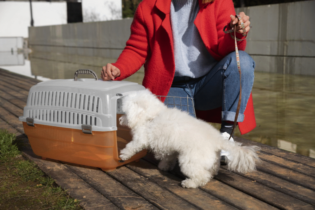 Crate Training for Puppies: A Comprehensive Guide