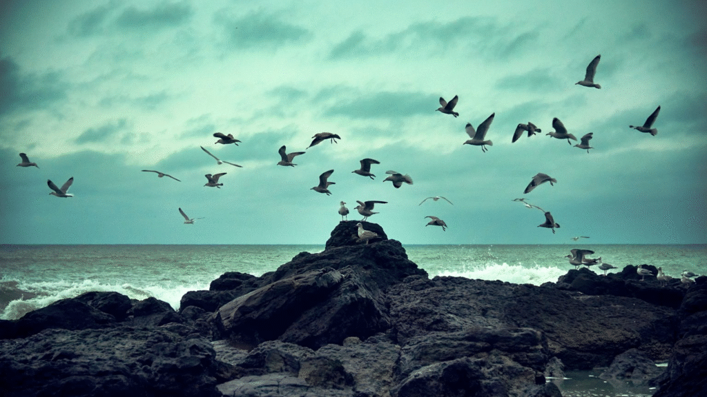 Are Birds Reptiles or Dinosaurs? Understanding the Evolutionary Connection