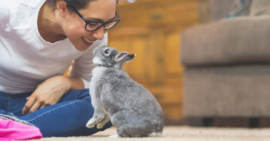10 Tips for How to Bond with Your Rabbit