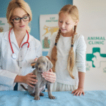 Caring for Our Furry Friends Top 10 Free Pet Hospitals in the USA