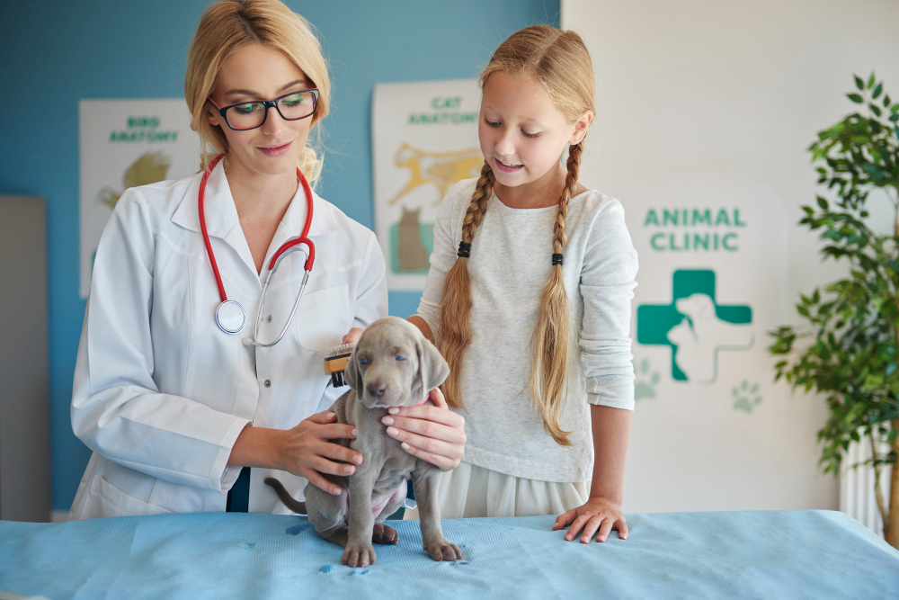 Caring for Our Furry Friends Top 10 Free Pet Hospitals in the USA