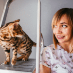 What Does It Mean When You Keep Seeing Cats? Exploring Feline Synchronicities